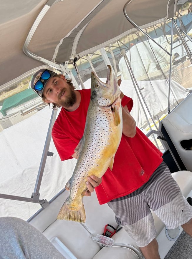 Shaver Lake Brown Trout